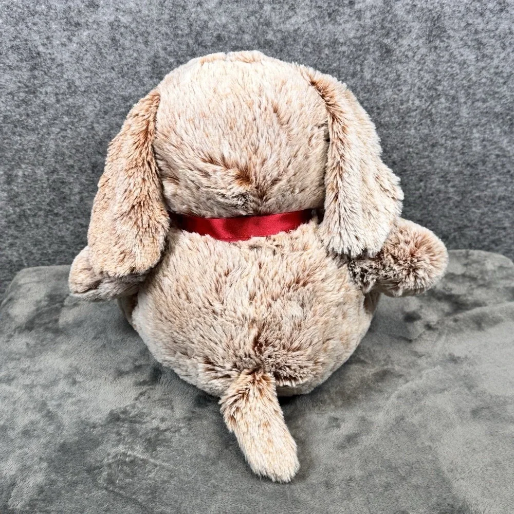 Petsmart Chance The Dog 11